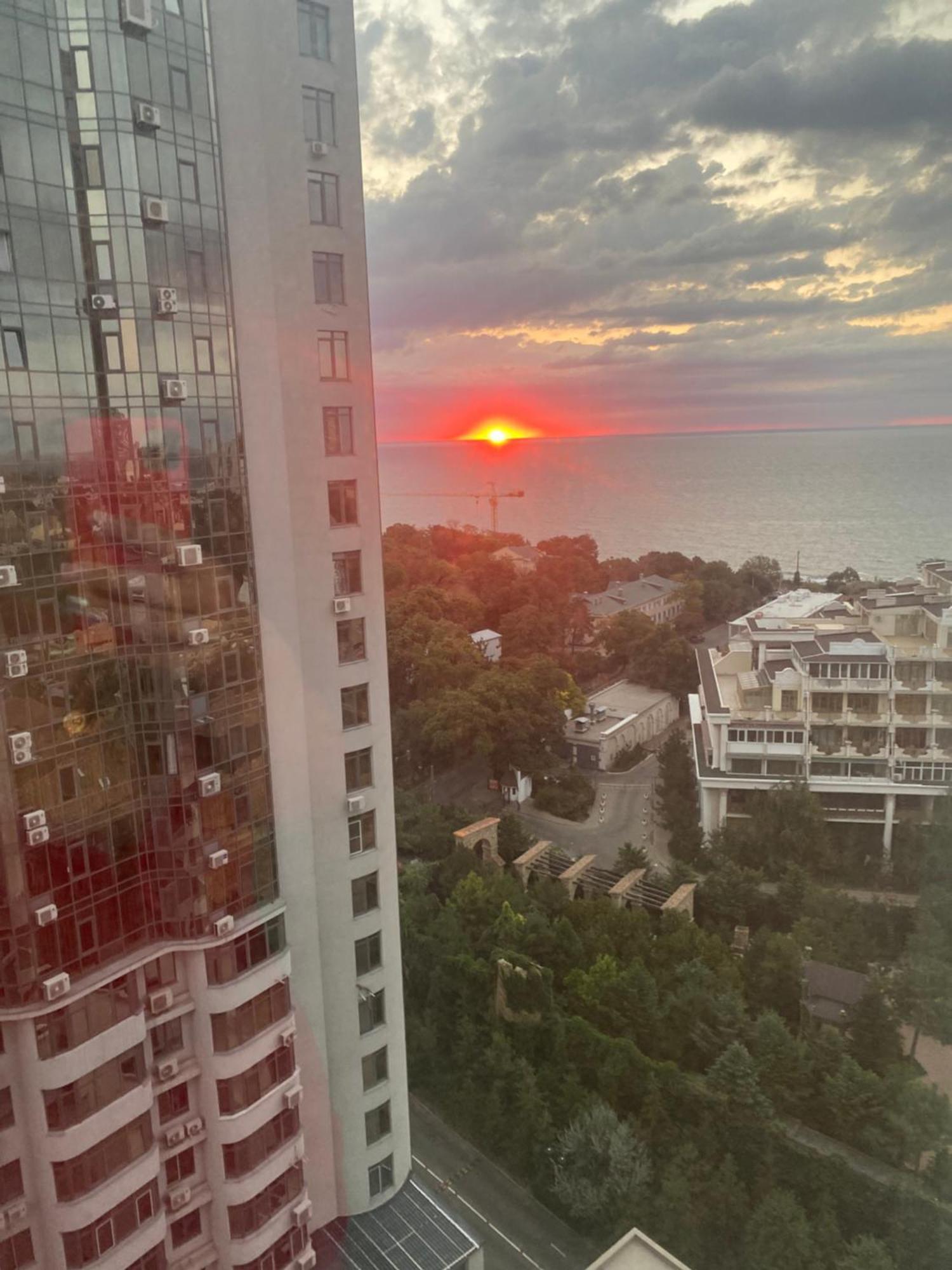 Arcadia Adelina * Odessa